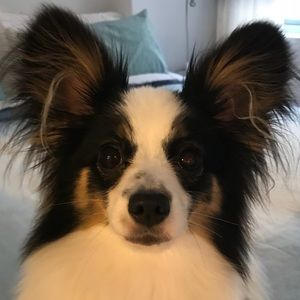 Meet your Posher, Marya